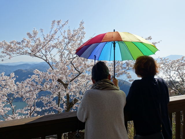 山頂公園から見る景色は最高です!施設もリニューアルされて更に素敵になっていました!_レインボーライン山頂公園