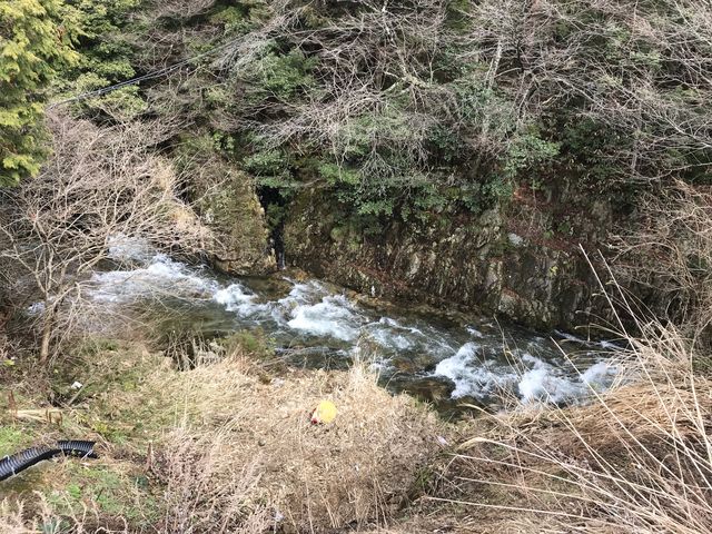 駐車場近くから見た河川_道の駅 匹見峡