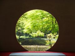 ニコちゃんさんの方丈 (明月院)への投稿写真1