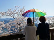 かずさんのレインボーライン山頂公園の投稿写真1