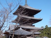 こぼらさんの壷阪寺三重塔の投稿写真1