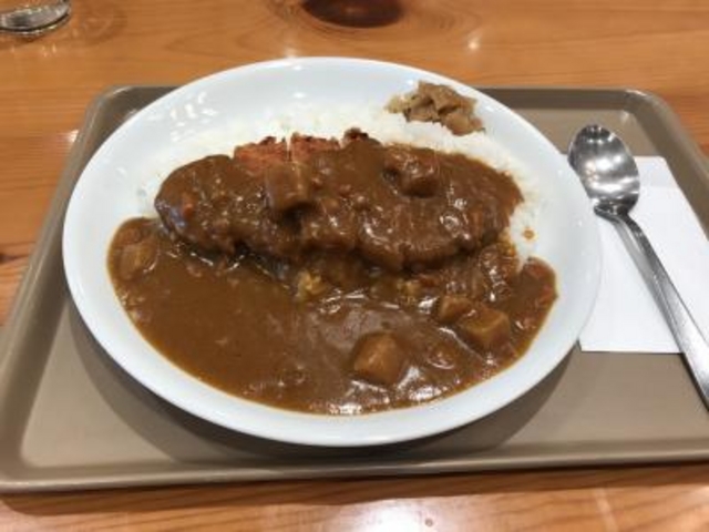 カツカレー_東北自動車道那須高原サービスエリア(上り)