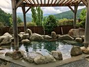 シトラさんのうるぎ温泉 こまどりの湯の投稿写真1