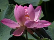 Yanwenliさんの荒神谷遺跡の投稿写真1