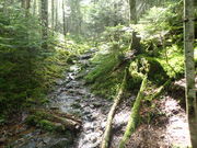 マイBOOさんの「信州の名水・秘水」 千曲川源流の投稿写真1