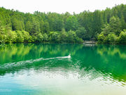 ももちゃんさんの南伊奈ケ湖の投稿写真1