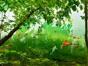 ももちゃんさんの南伊奈ケ湖の投稿写真3