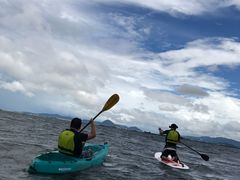 オーパルの写真1