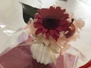 さくちゃんさんのLittle Bridge(リトルブリッジ)の投稿写真1