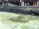 チャムンパスさんの将軍お汲み上げの湯枠への投稿写真2