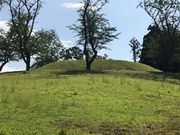 おーちゃんさんの古津八幡山遺跡の投稿写真1