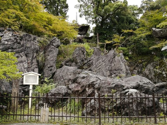 天然記念物
石山寺硅灰石
(いしやまでらけいかいせき)_石山寺硅灰岩