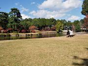 雷ちゃんさんの信州大芝高原 大芝公園の投稿写真8