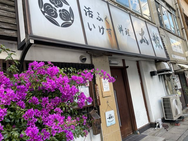 活ふくいけす_太鼓