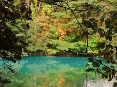 ポチさんの五色沼自然探勝路への投稿写真1