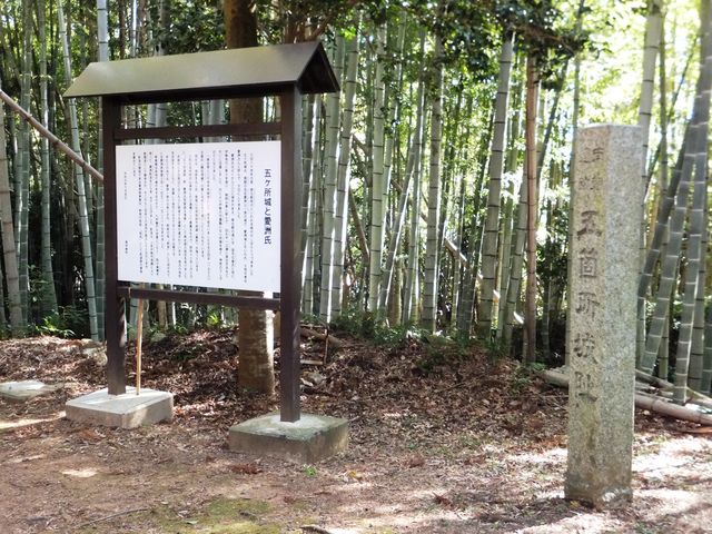城主居館跡:竹林に囲まれた丘の頂上。_五ケ所城址