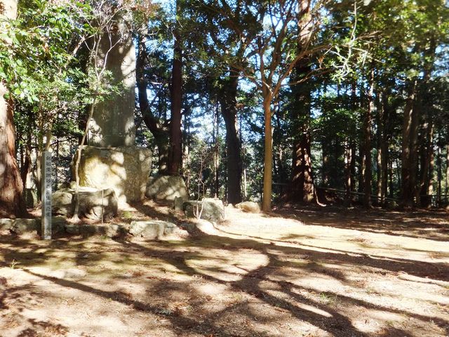 城主居館跡:剣祖・愛洲移香斎が生まれた場所。_五ケ所城址