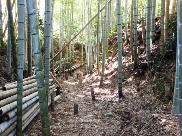 空堀の跡_五ケ所城址