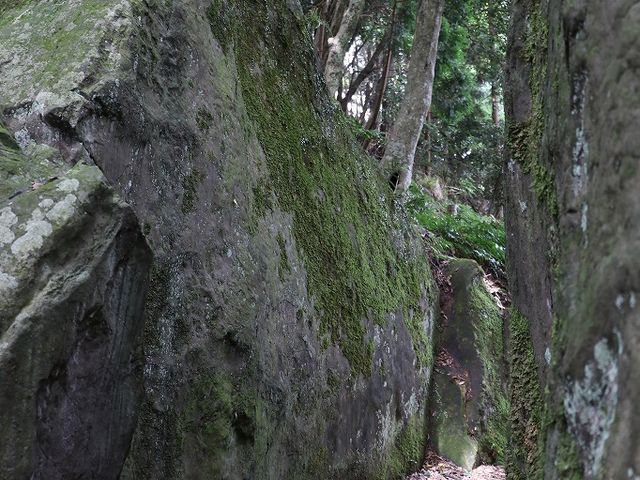 間を通れます。_神谷神社(神谷太刀宮)
