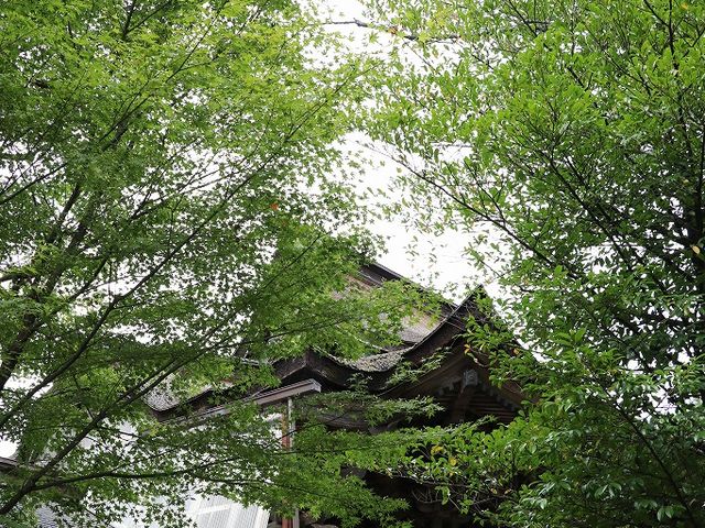 本殿。_神谷神社(神谷太刀宮)