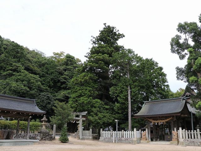 境内の様子。_神谷神社(神谷太刀宮)