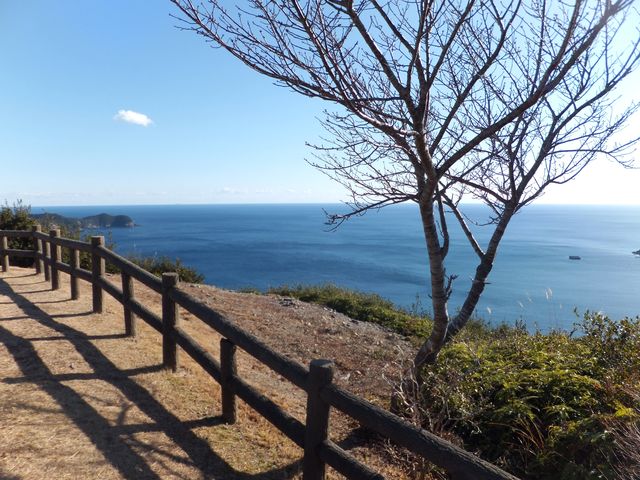 こぼらさんの南海展望公園の投稿写真1