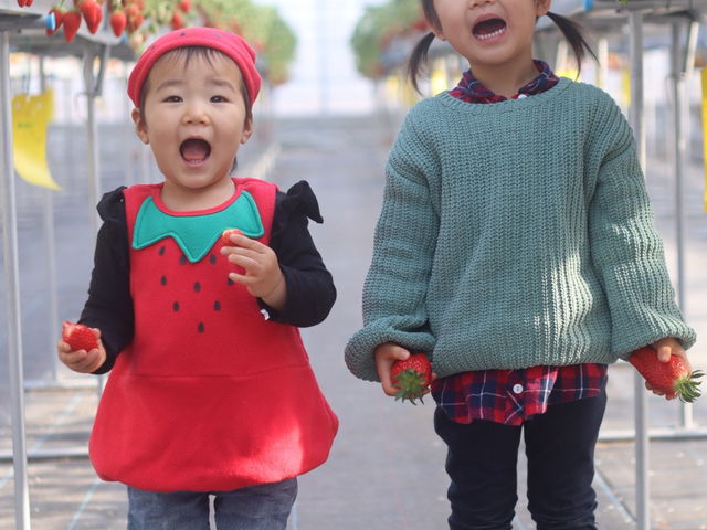 いちご大好き姉妹(^^)_山銀ぶどういちご園