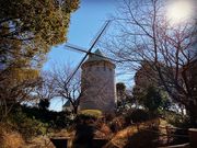 KOZYさんの松伏総合公園の投稿写真1