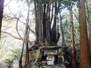 こぼらさんの五ケ所城址の投稿写真7