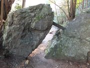 こぼらさんの五ケ所城址の投稿写真8