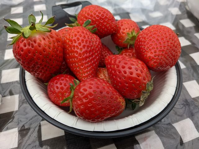 いちご_アンデルセンいちご農園