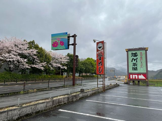 さっちゃんさんの深川の投稿写真1