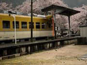 kengoさんの安野花の駅公園の投稿写真1