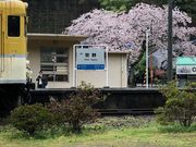 kengoさんの安野花の駅公園の投稿写真2