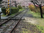 kengoさんの安野花の駅公園の投稿写真3