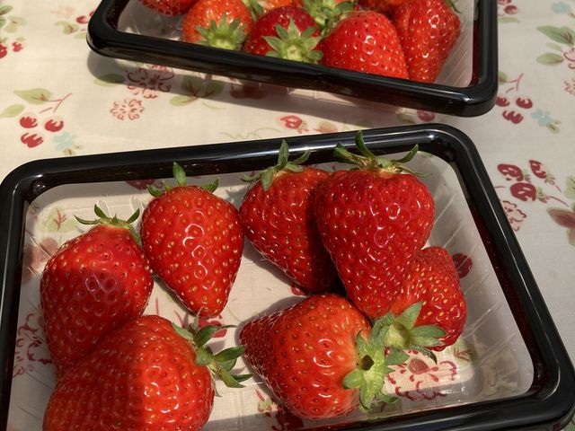 各グループでテーブルで食べました。_ぶどうと苺の沼田園