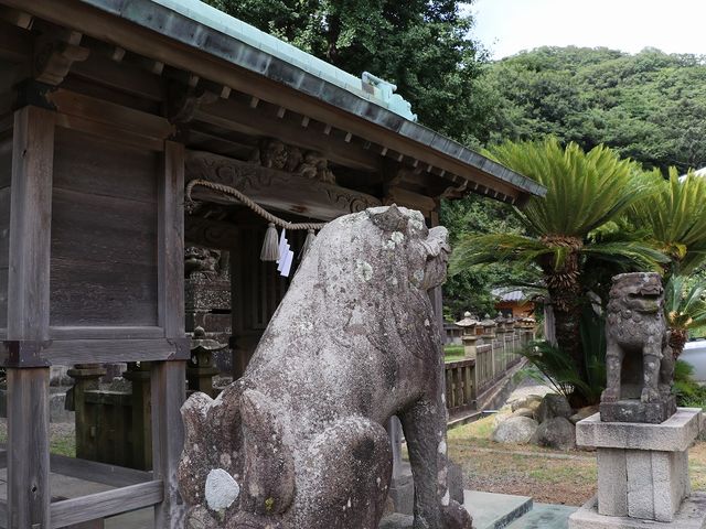 寛政7年の銘がある狛犬。_加賀神社