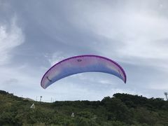 みゆさんのManaia Okinawaへの投稿写真1