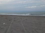 こんぱらさんの掛塚灯台の投稿写真2