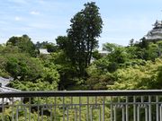 zinさんの竹の丸の投稿写真2