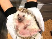 とんちゃんさんのHARRY横浜店の投稿写真4