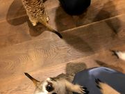 とんちゃんさんのHARRY横浜店の投稿写真5