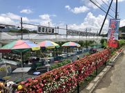 abeさんのほほえみ園の投稿写真1