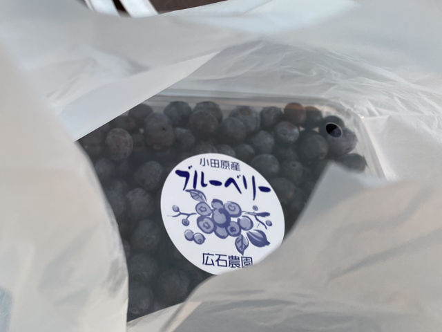酸っぱい甘いいいながら食べました。_広石農園