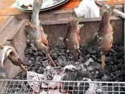 ようちゃんさんの作並渓流つり場の投稿写真1