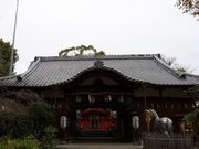 Yanwenliさんの許波多神社の投稿写真5