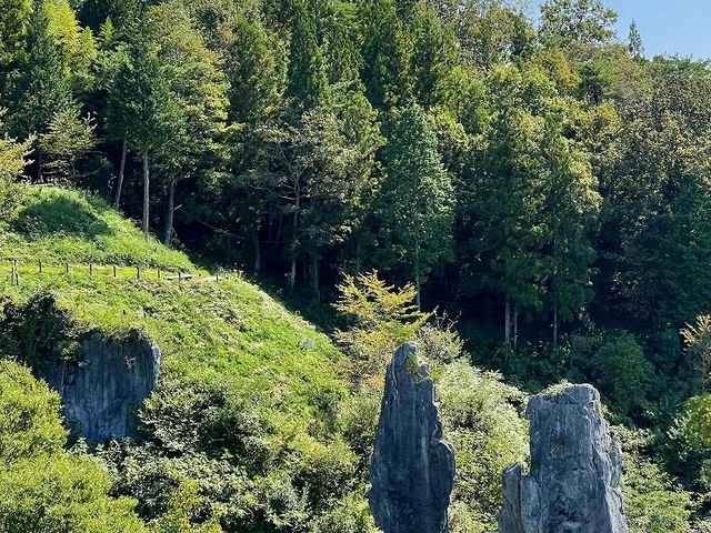 北展望台から。逆光でした。_夫婦岩