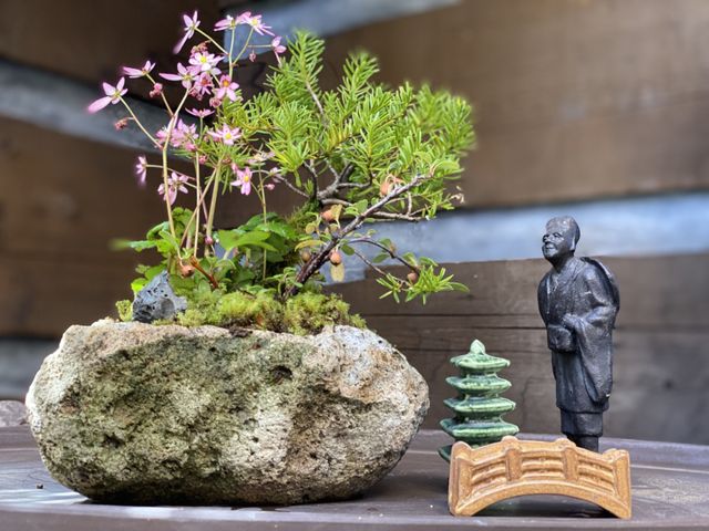 大きめの入れ物をえらぶ方がバランスよく作れます。_チェリーガーデン野草庵