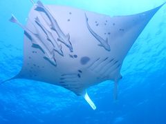 優さんのDIVING SHOP RYAAANへの投稿写真1