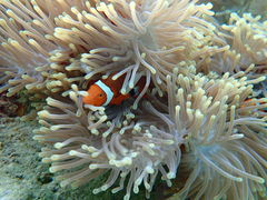まーちさんのDivingshop Ryoへの投稿写真1